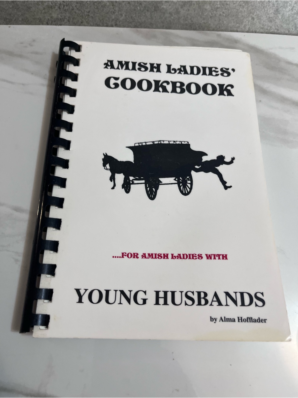 Amish Ladies Cookbook for Young Husbands Alma Hofflader 2003 Hearts & Tummies